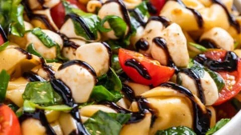 Caprese Tortellini Salad with fresh tomatoes, basil, and mozzarella cheese