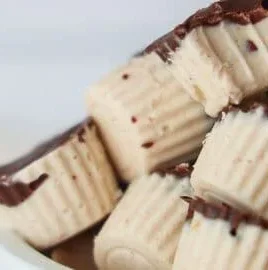 Delicious dairy-free easy frozen yogurt bites recipe on a plate