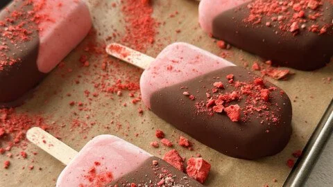 Homemade strawberry yogurt bars with fresh strawberries