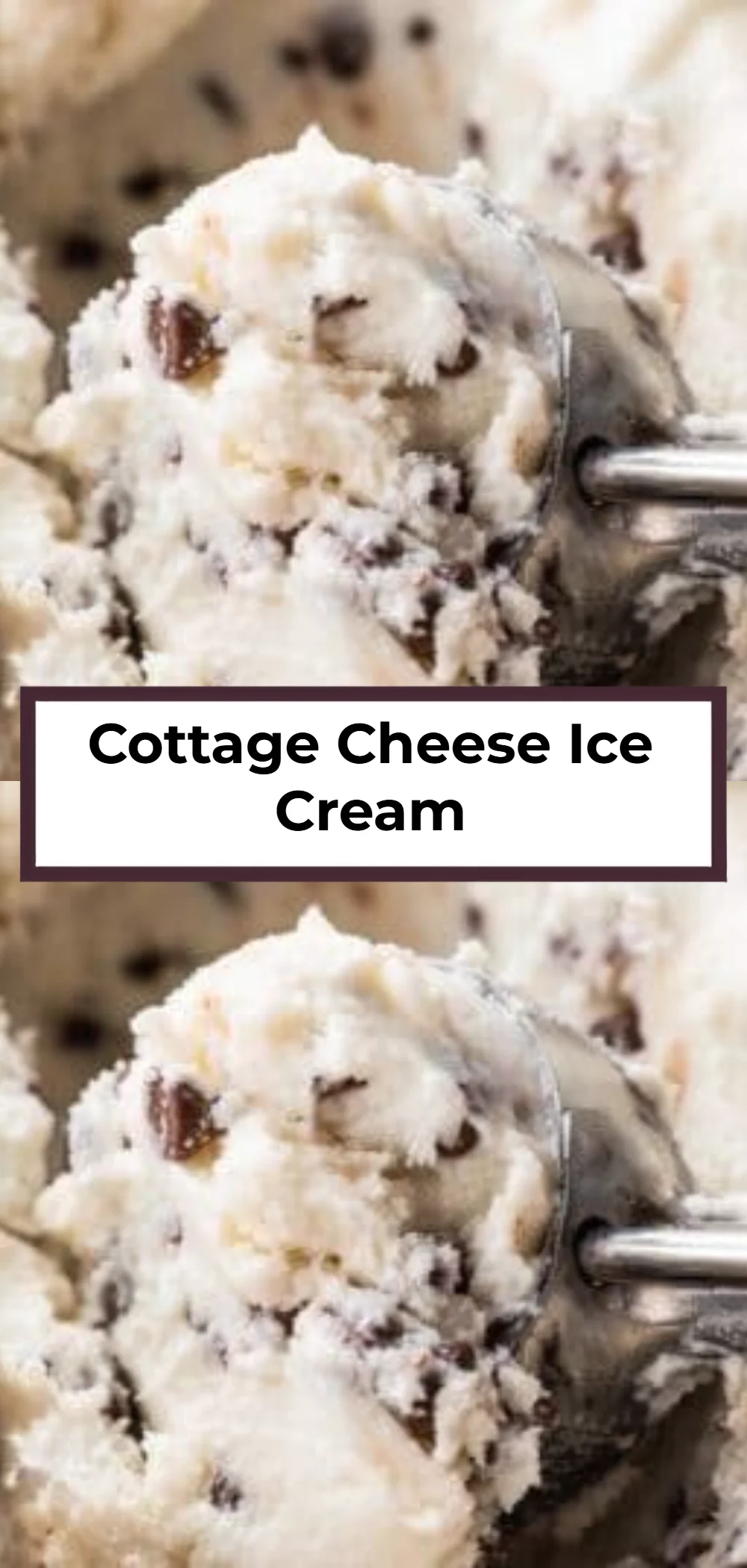 Cottage Cheese Ice Cream