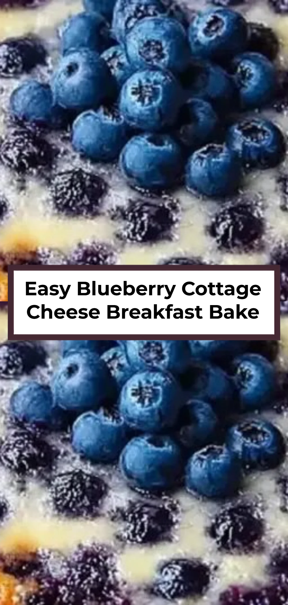 Easy Blueberry Cottage Cheese Breakfast Bake